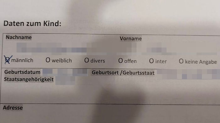 Eine Frage, viele Optionen