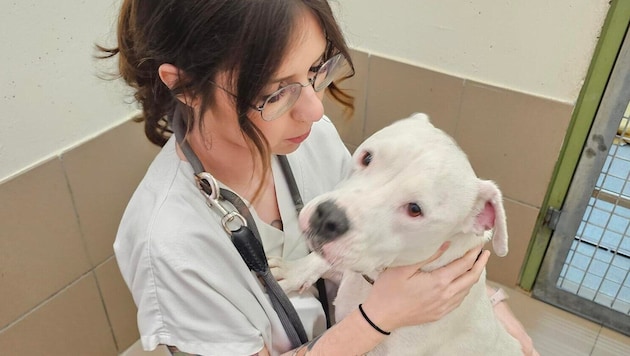 Liebevoll umsorgt: Die vom Wesen her einfach entzückende „Aurora“ – so lieb trotz allem, was sie ...