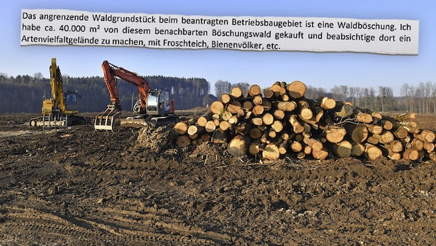Als Teil der Kompensation für die Abholzung von 19 Hektar Wald schwebte Hans Asamer ein ...