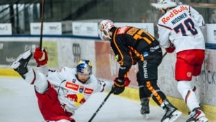 Bruchlandung in Graz! Die Eisbullen sind endgültig im Mittelmaß angekommen.