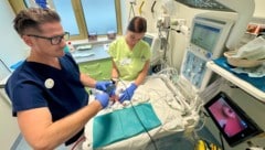 Frühgeborene sind Babys, die vor der vollendeten 37. Schwangerschaftswoche zur Welt kommen. Je ...