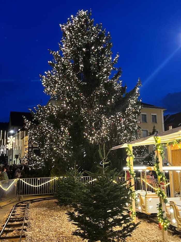 In diesem Jahr kommt der Baum aus Lauterach.