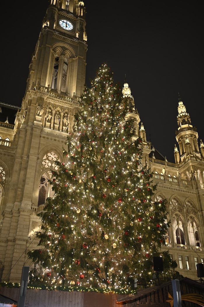 Der heurige Christbaum am Rathausplatz in Wien stammt aus Hopfgarten im Brixental.