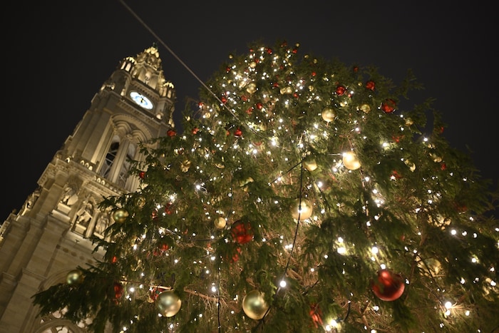 Am frühen Abend fand die Illuminierung statt.