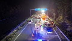 Insgesamt sechs Personen wurden bei dem Crash verletzt.