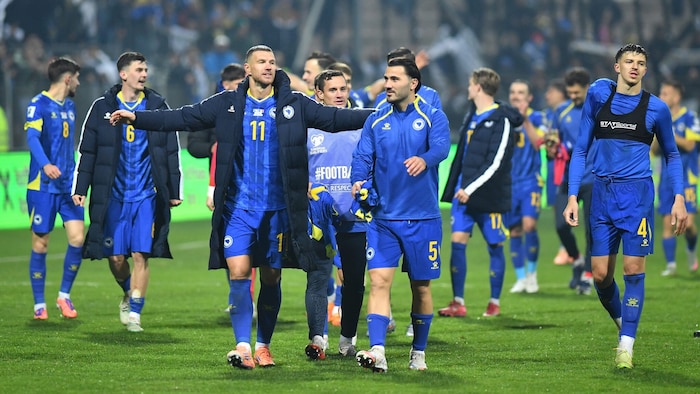 Bosnien beendet die Qualifikation als Gruppenzweiter.