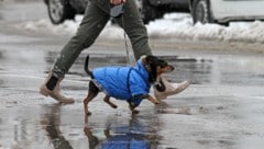 Regen, Schnee, Frost und Sonne erwarten uns in den kommenden Tagen (Symbolbild).
