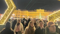 Wer am Sonntag den Adventmarkt vor Schönbrunn besuchte, brauchte Geduld ...