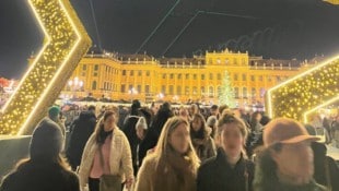 Wer am Sonntag den Adventmarkt vor Schönbrunn besuchte, brauchte Geduld ...