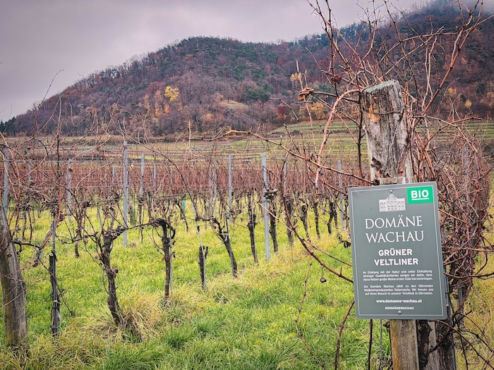 Im November zeigt sich die Wachau von ihrer unbekannten Seite.