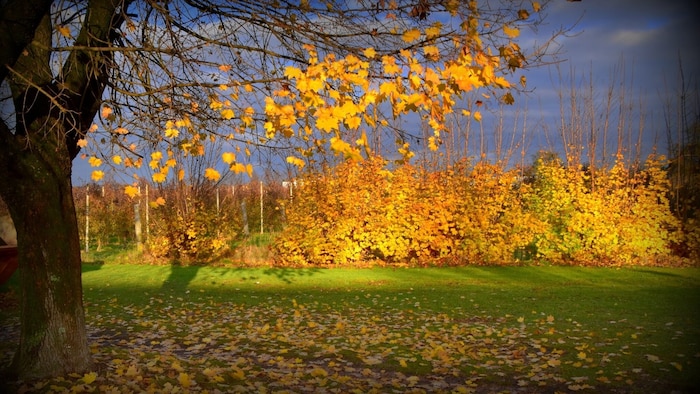 Aus Braunau am Inn hat uns dieses Foto erreicht.