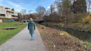 Im Bereich Feschnig wurden Bäume entlang des Glanufers gefällt. Nun folgt Renaturierung.