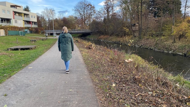 Im Bereich Feschnig wurden Bäume entlang des Glanufers gefällt. Nun folgt Renaturierung.