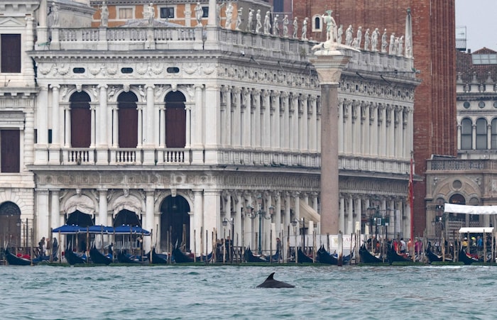 Auch vor dem berühmten Markusplatz konnten sich schon zahlreiche Touristen und Einwohner an ...