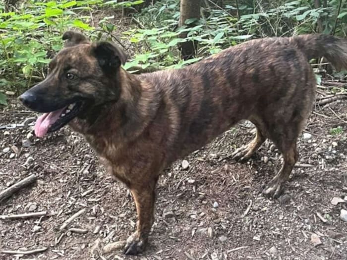 Ruhiger Dauerplatz gesucht