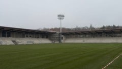 Der Rasen in Wien-Dornbach ist verlegt.