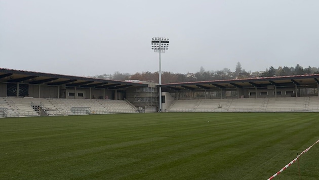 Der Rasen in Wien-Dornbach ist verlegt.