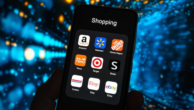 Amazon, eBay, Temu, Etsy – sie alle wurden schon von Kriminellen kopiert.