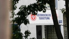 Zahlungsunfähig: Österreichische Tierrettung in Salzburg