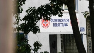 Zahlungsunfähig: Österreichische Tierrettung in Salzburg