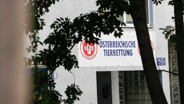 Zahlungsunfähig: Österreichische Tierrettung in Salzburg