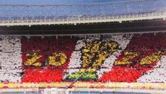 Mit dieser Choreographie im ersten Spiel gegen Rumänien machte die Fankurve im Happel-Stadion ...