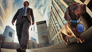 Die USA dominieren Europa am Digitalmarkt.