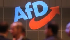 Freude herrscht im Kreml über den Höhenflug der rechtspopulistischen Alternative für Deutschland ...