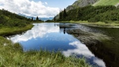 Die Vermisste wurde im Bereich des Wiegensees gesucht.