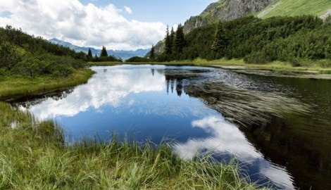 Die Vermisste wurde im Bereich des Wiegensees gesucht.