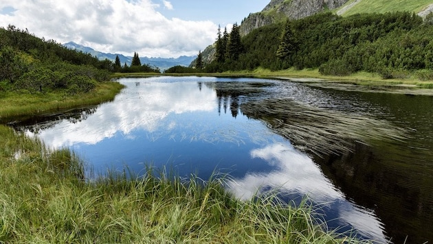 Die Vermisste wurde im Bereich des Wiegensees gesucht.