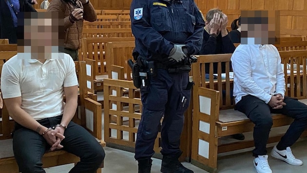 Der Haupttäter bekannte sich nicht schuldig und versuchte die Schuld einem Kollegen in die ...