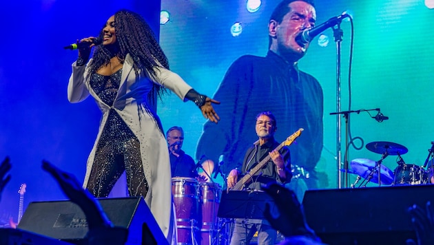 Bei „Falco In Concert – Live on Screen“ mit dabei sind neben der Originalband Künstler wie Ana ...