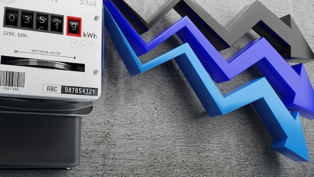 Das Parlament diskutiert über ein „Günstiger-Strom-Gesetz“.