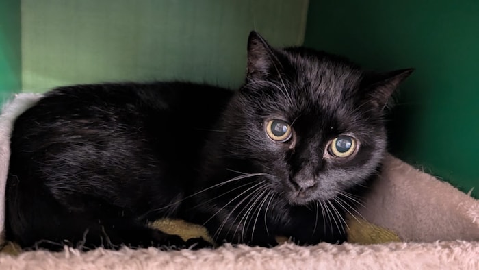 So süß, zum Vernaschen!