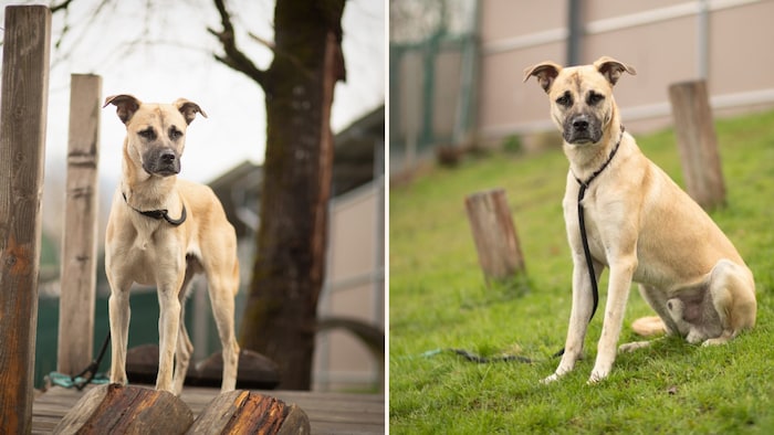 Ein neues Zuhause gesucht!