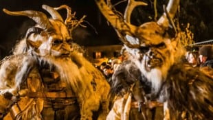 Maßlos übertrieben soll es ein junger Perchtenläufer im Bezirk Gänserndorf und mit der Rute auf ...