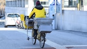 In Österreich stellen rund 10.000 Zusteller Post zu.