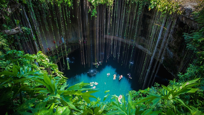 Cenotes sind Dolinen, die Zugang zu gefluteten Höhlen erlauben.
