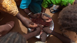 Europas Kampf gegen Hunger greift zu kurz, stellt nun ein Bericht des Europäischen Rechnungshofs ...