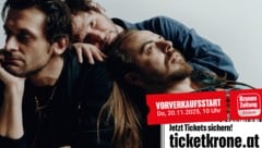 Bussis und Amore – und das am Besten live!