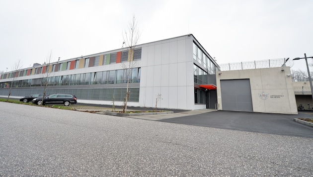 Der Pole wurde in die Justizanstalt in Puch eingeliefert.