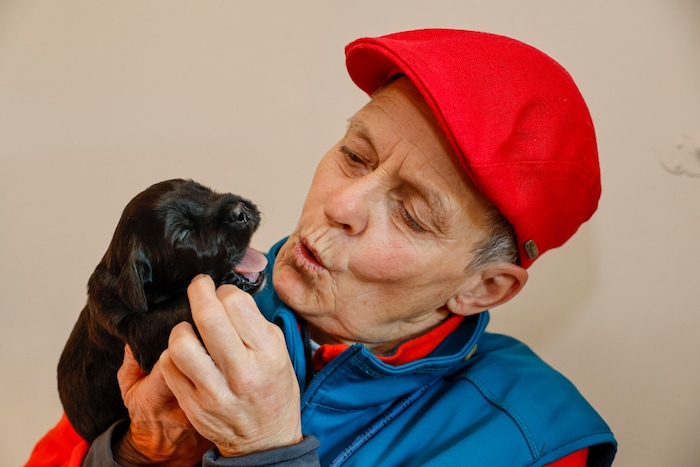 Elisabeth kümmert sich mit ihrem Team darum, dass aus Welpen gut ausgebildete Partnerhunde ...