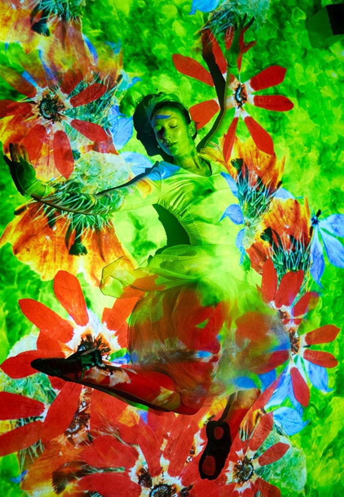 Neues Tanztheater: der „Pop-up-Garden“ im Salon Stolz.