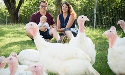 Die Familie Krautgartner fährt mit glücklichen Bio-Puten auf Erfolgskurs