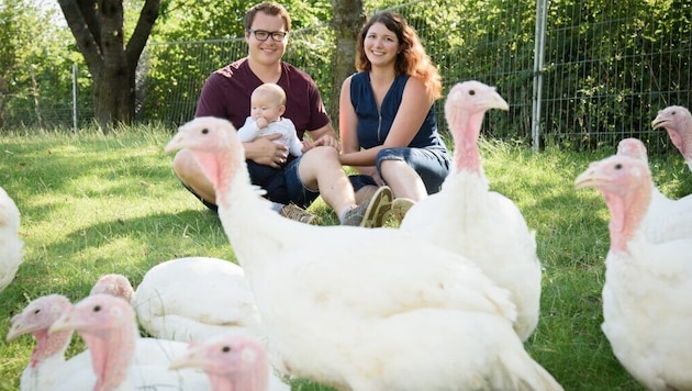 Die Familie Krautgartner fährt mit glücklichen Bio-Puten auf Erfolgskurs