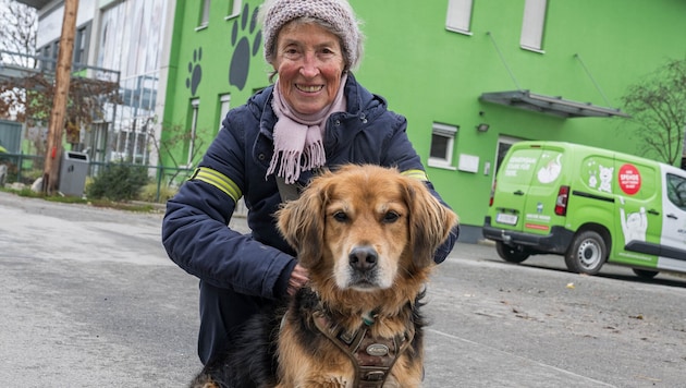 Die grandiose Spaziergängerin Grete Mussnig, hier mit „Willi“, der einen Platz sucht, freut sich ...