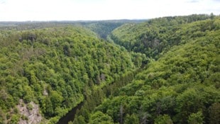 6,5 Millionen Euro werden vom Bund für den künftigen Nationalpark abgeholt. 