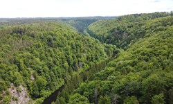 6,5 Millionen Euro werden vom Bund für den künftigen Nationalpark abgeholt. 