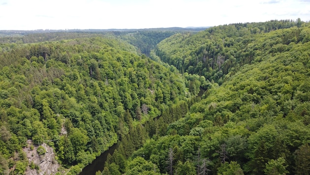 6,5 Millionen Euro werden vom Bund für den künftigen Nationalpark abgeholt.